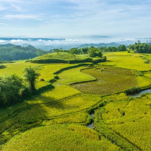 Wonderful Rice Field on the high mountain
